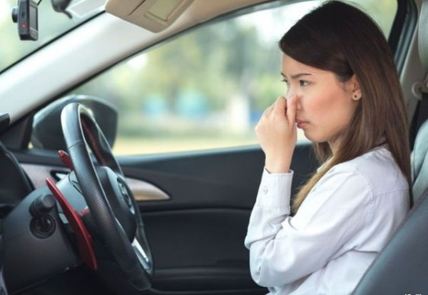 Много автомобили имат проблеми със своят система за отопление, вентилация и климатизация. Сред тях са и тези на Audi, при които с течение на времето системата се пълни с мухъл и може да се появят дори бактерии. Това води до навлизането на неприятна миризма в салона. Затова се препоръчва често превключване между чист и рециркулиран въздух, както и редовно пръскане на дезинфектант в отворите, с което ще се намали ефекта.