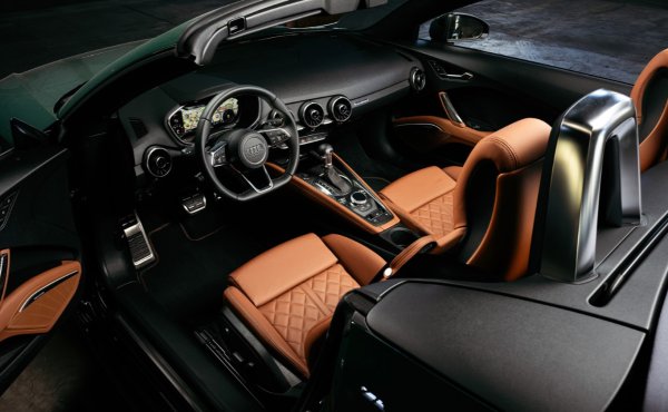 Покривът, джантите с диаметър 20 инча и вложките в броните са сиви. За основа беше взета версията TT S, но повечето от лога с името на тази версия бяха елиминирани. Вътре е използван декор от въглеродни влакна, а седалките са тапицирани с кожа Palomino Brown, напомняща за седалките от първо поколение. 
