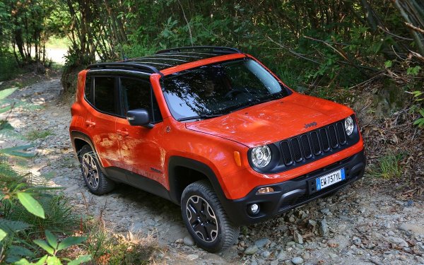 В антикласацията на WhatCar? попадна още един модел на американската марка Jeep - Renegade. Авторите на изследването посочват &bdquo;жадните&ldquo; и ненадеждни дизелови двигатели. Моделът също така предлага &bdquo;много скромен&ldquo; интериор и неудобни контроли. Минус е и висока цена в сравнение с конкурентите. Jeep Renegade обаче има и някои предимства, сред които са отлични офроуд възможности и просторен интериор.
