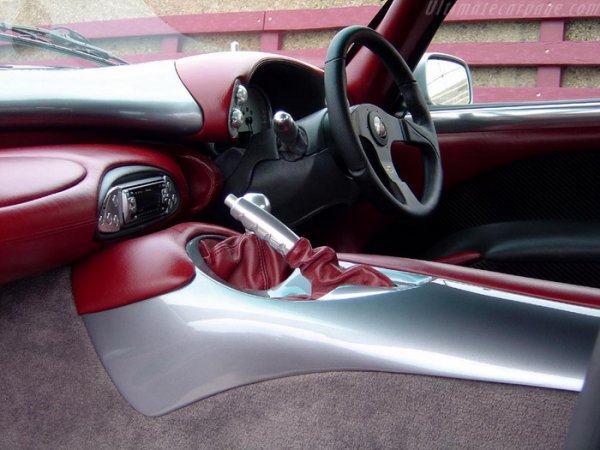 Теглото на TVR Sagaris е малко повече от един тон, благодарение на тръбната конструкция на шасито и използваните леки материали при направата на купето