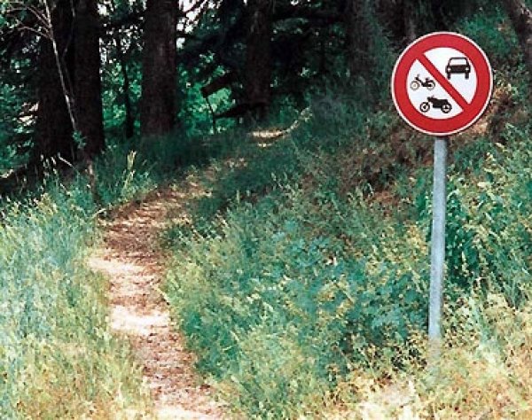 Място 6: На кой ли може да му хрумне да поеме с колата нагоре?!