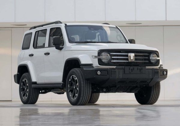 Eдин от по-значимите частни производители на автомобили от Китай, добре познат у нас от мимолетно просъществувалия завод за сглобка на готови комплекти в Баховица, край Ловеч. През 2023 GWM е продал 1.229 милиона автомобила по цял свят, с четвърт милион повече от 2022, и се нарежда на осмо място между китайските производители. Компанията притежава марките Great Wall, Haval, Wey, Tank, Poer и Ora. 
Приходите за годината са 173 милиарда юана (срещу 137 млрд. за 2022), а нетната печалба е 7 милиарда юана, или близо 0.9 милиарда евро. 
Доходността на акция е 0.11 евроцента. 
