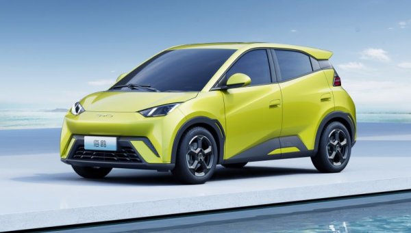 Създадена през 1995 в Шънджън, BYD Company е конгломерат от компании, произвеждащи всичко от електромобили и електрически автобуси до батерии, соларни панели и железопътно оборудване. Посочените тук резултати са на компанията-майка, а не само за автомобилното поделение. През 2023 BYD Company отчита приходи от 602 милиарда юана (42% ръст), и нетна печалба от 30 милиарда юана, или около 3.8 млрд. евро (81% ръст спрямо 2022). BYD Auto е продала рекордните 3.02 милиона автомобила за миналата година, скок от 60 на сто спрямо 2022. 
BYD е частна компания, в която най-големи акционери са основателят й Уан Чуанфу, Лю Ксянгян и фондът Berkshire Hathaway на Уорън Бъфет (който в момента държи 9.8% от капитала).