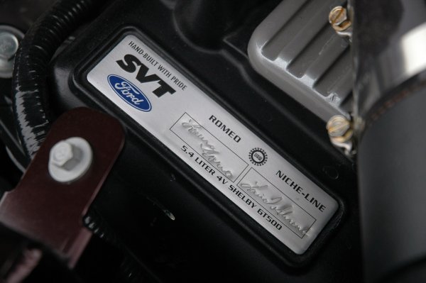 Shelby GT500 Super Snake 2010