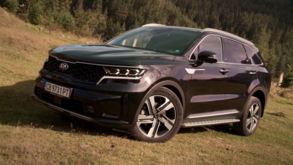 Корейската марка вдигна цените у нас два пъти, през 2019 и 2020. Сега повечето й модели не са помръднали от нивата си в края на миналия декември. 
KIA STONIC - без промяна, от 32 990 лева.
KIA RIO - без промяна, от 26 480 лева.
KIA PICANTO - без промяна, от 23 280 лева
KIA SORENTO: +2000 лева спрямо миналата пролет: 89 900 тогава за базовото ниво, 91 900 сега. 
