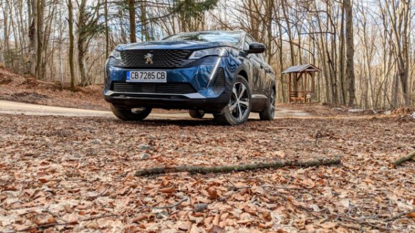 PEUGEOT 208: без промяна. Поне спрямо цената от декември - 29 866 лева. Иначе в края на 2020 суперминито започваше от 25 348 лева. 
PEUGEOT 3008: +8 800 лева спрямо началото на 2021. При излизането си на пазара фейслифтът на кросоувъра тръгваше от около 50 000 лева. Сега стартовата цена е 58 836.
