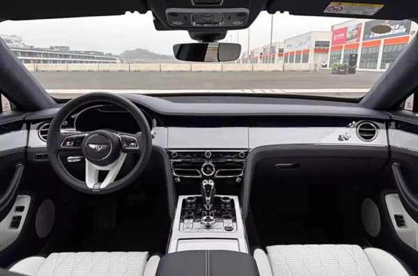 Отвън колата се отличава от събратята си с лого на задната колона, а интериорът със симпатични бродирани панди на седалките и щампа на таблото. Каросерията е боядисана в наситен сапфирен цвят, а тъмносиният интериор има бели вложки. Техническото оборудване е стандартно: четирилитровият V8 произвежда 550 к.с. и 770 Нм.
