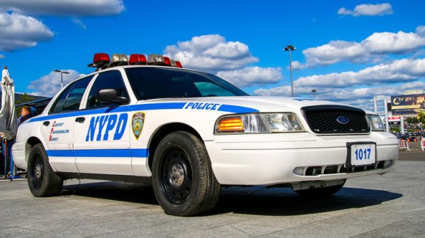 Ford Crown Victoria се срещка навсякъде по пътищата на Северна Америка, тъй като е служил на полицията и службите за таксита повече от десетилетие. Като пълноразмерен седан на Ford от 1992 г. до 2012 г. (LTD Crown Victoria го предшества през 80-те години), Crown Victoria беше проектиран както за семейства, така и за таксиметрови компании и полицейски управления. Всичко го ценят заради размерите и удобния интериор заедно с достатъчно пространство в багажника. При Crown Victoria дебютира модулният 4,6-литров V8 на Ford - първият с горна камера. Той произвежда достатъчно мощност с много въртящ момент, за да движи доста тежката кола. 