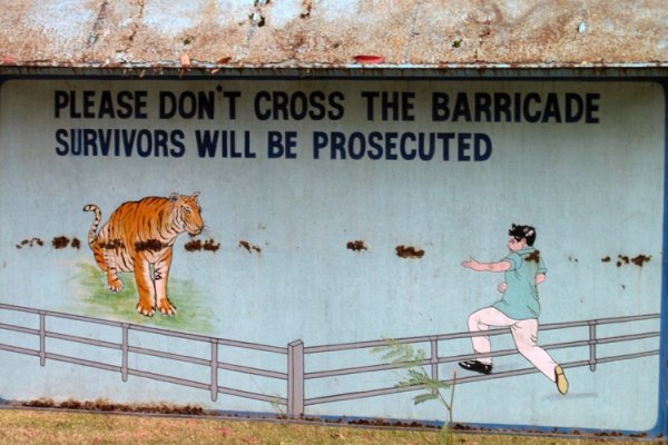 Индийски зоопарк предупреждава да не влизате при тигрите, защото оцелелите подлежат на санкции...