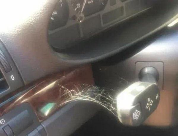 В края на краищата включването на мигача изисква да преместите пръст на разстояние от цели няколко сантиметра. Не стига, че по цял ден работите и после имате да ремонтирате банята вкъщи. И въобще тежкият физически труд трябва да се избягва при възможност. 23% от запитаните защо не подават мигач си признават, че ги е домързяло. 
