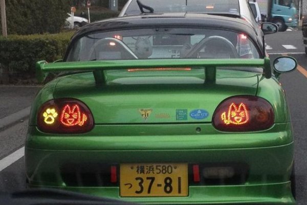 Той не е склонен да спазва правилата сляпо, а само когато му се виждат разумни. Примерно не вижда нужда да подава мигач, когато се престроява вдясно. Ако го прави вляво, е съвестен. 
