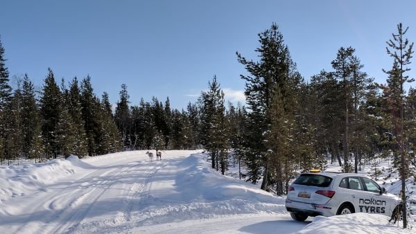В Ивало, на 200 км северно от Полярния кръг, Nokian тества новите си зимни гуми