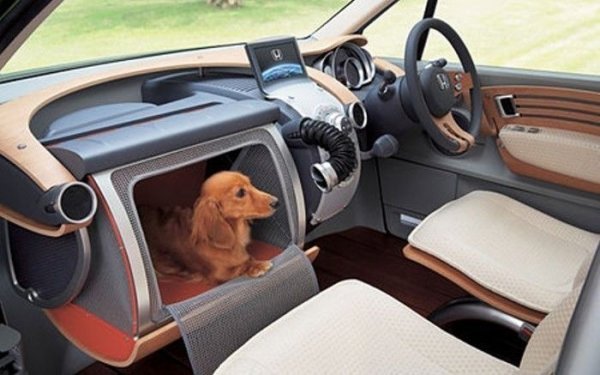 Сръчните, изобретателни хора и техните возила ;)