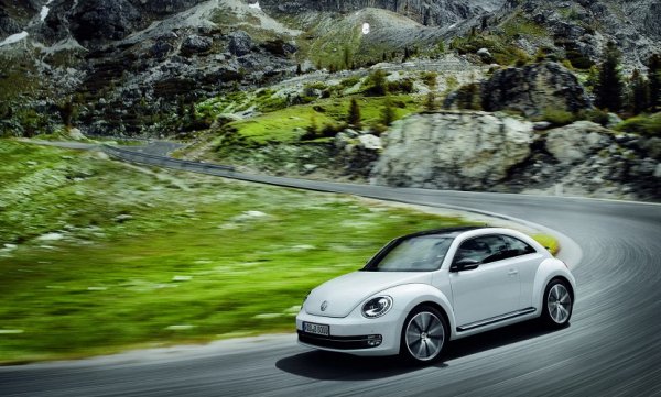 Beetle