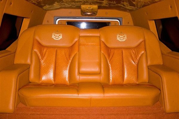 Тук не става въпрос за добрия стар кожен салон от телешки бокс или за стелките от овча вълна. Сега живеем в интересно време, когато всеки материал може да се използва в кола. Вземете например бронираните джипове DARTZ, чиито салони (по желание) могат да бъдат покрити с кожа от пениси на китове. Като цяло, ако има пари и въображение, няма граници...