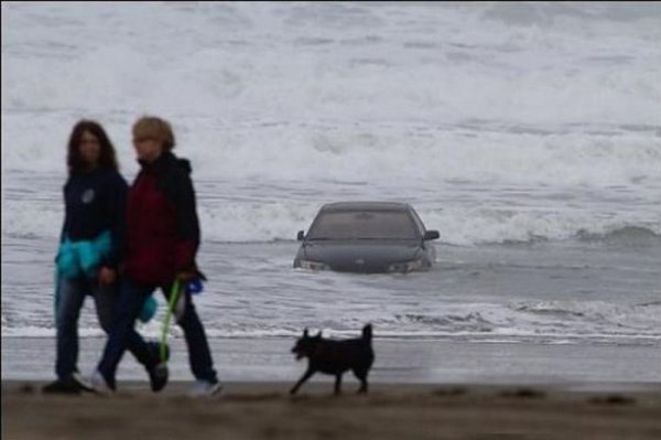 Необичайни пътни инциденти 