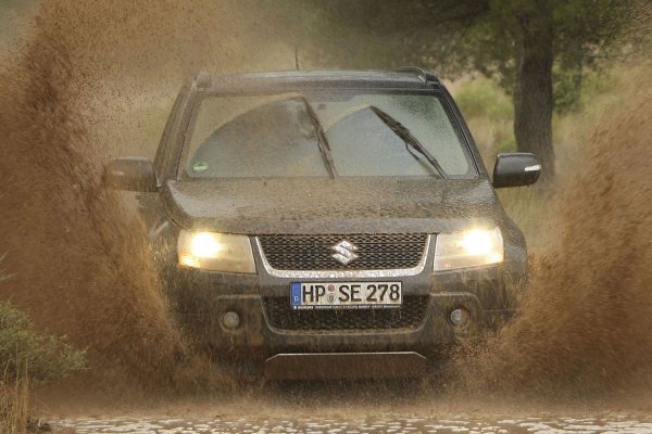 В българските обяви десетгодишна Grand Vitara (2010) върви между 9 500 и 15 000 лева. Почти всички предлагани автомобили обаче са с 1.9-литровия френски дизел.
