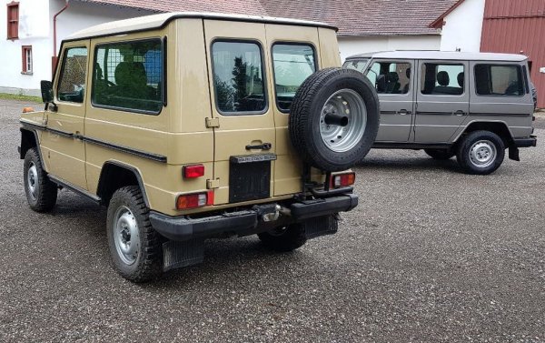 За тези пари получавате версията G 290 от 1999 г. Всъдеходът е на 125 000 км (според продавача), като разполага с голям брой екстри - автопилот, кожен салон, централно заключване, електрически пакет, стерео+CD, печка ORC, лебедка, блокаж на диференциалите,  допълнителен оф-роуд пакет и др. 

Този 5-цилиндров мотор е здрав, така че, ако километрите на автомобила са реални, бъдещият купувач няма да има проблеми. Е, мощността е едва 95 к.с., но пък в крайна сметка тази кола не е направена за надбягвания.
