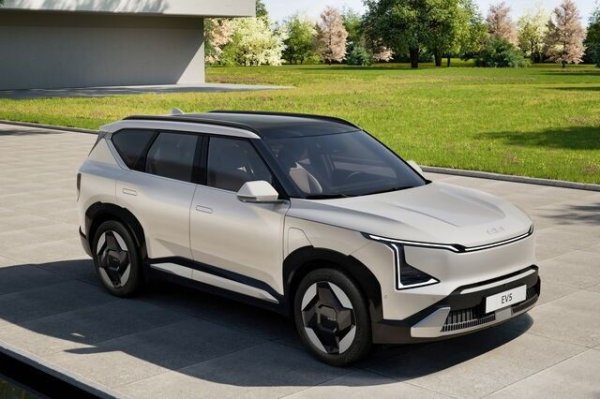 Двата корейски производителя, които са част от една и съща група, са силни в електрическите автомобили, но също така продължават да произвеждат отлични хибридни автомобили. Предизвикателството за тях ще бъде да локализират производството повече в Европа, за да не бъдат изключени от новите стимули "произведено в ЕС" за компактни автомобили.