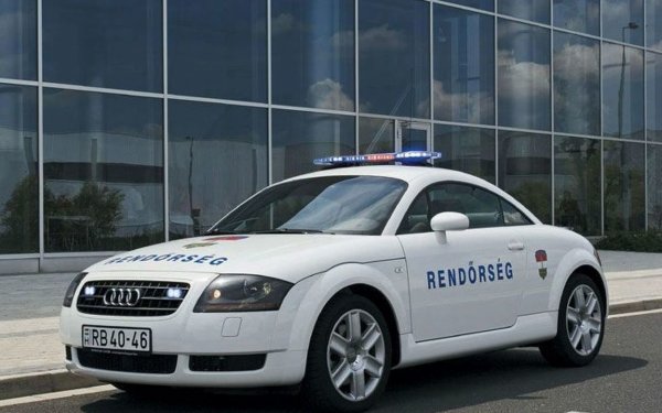 &bull; употреба на алкохол - до 970 евро (макс. допустими промили - 0,0)
&bull; 20 км/ч превишение на скоростта - до 100 евро
&bull; над 50 км/ч превишение на скоростта - от 190 евро
&bull; минаване на червено - 325 евро
&bull; неправилно изпреварване - до 325 евро
&bull; неправилно паркиране - до 165 евро
&bull; разговор по мобилния телефон - до 100 евро
&bull; каране без предпазен колан: от 50 евро
