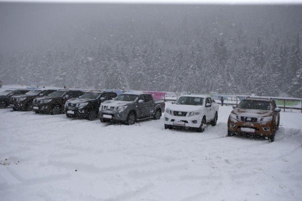 Nissan Navara 