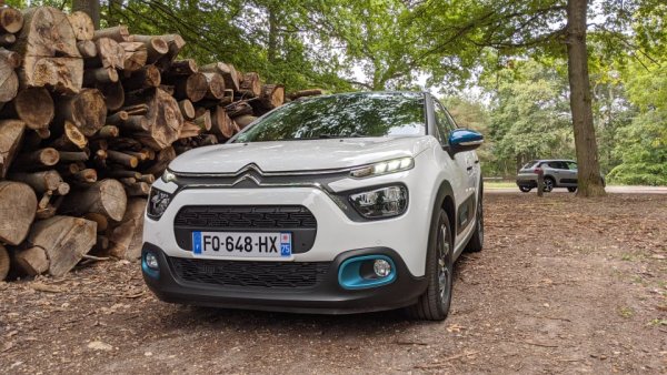 Една от предпочитаните коли от рент-а-кар компаниите в България. От регистрираните бройки 109 са с категория N1.
