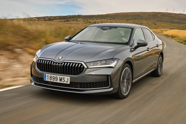 Skoda винаги е била типичната харесвана марка, предлагаща продукти, привличащи много внимание заради отличното си съотношение цена-качество. Когато става въпрос за големи, икономични автомобили обаче, малцина могат да надминат Skoda Superb. Още повече, ако става въпрос за комби версията.

Това е автомобил с дължина малко над 4,90 м и багажник от поне 645 литра във версията седан... и 690 л в комби версията. Със своя 2.0 TDI двигател, турбодизел с с мощност 150 к.с., той е особено пестелив: изразходва средно 4,8 л/100 км. 
