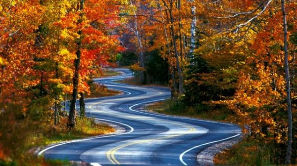 Щом зърнете тази 18-километрова отсечка между щатите Тенеси и Северна Каролина, веднага ще разберете защо е кръстена така - за да прекоси превала Дийлс, пътят непрекъснато криволичи и предлага на ентусиазираните шофьори общо 318 серпентини. Любимо място за шофьори, мотоциклетисти, но и - уви - за пътни полицаи. 
