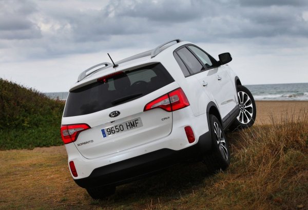 Бензиновият атмосферен 2.4 (G4KE, 175 к.с.) е клонинг на Mitsubishi 4B12 с малки модификации. Смущаващи могат да бъдат шумът и вибрациите, но това не пречи на ресурса му, стига фазорегулаторът или маслената помпа да не откажат. Такива случаи обаче са редки, като моторът изкарва над 250 000 км, особено ако е произведен след 2014 г., когато поечето му проблеми бяха премахнати от производителя.

Дизелът 2.2 (D4HB, 197 к.с.) е с още по-голям ресурс. Ангренажните вериги са шумни и често чукат при по-стари автомобили. Освен това, при динамично шофиране маслените канали бързо се запушват и харченето на масло се увеличава. Като цяло, дизеловият мотор е по-капризен заради горивната система с деликатни пиезо-инжектори и ще изисква повече инвестиции. 