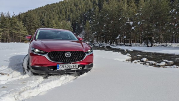 Пазарен дял: 1.8%
България е сред страните, в които японската марка се радва на най-висок пазарен дял в цяла Европа. Марката продължава да увеличава продажбите си, с 5% ръст спрямо силната 2021 година. 

Най-популярни модели: CX-30 - 126, CX-5 - 81, Mazda 6 - 41, Mazda 3 - 34, Mazda 2 - 17
