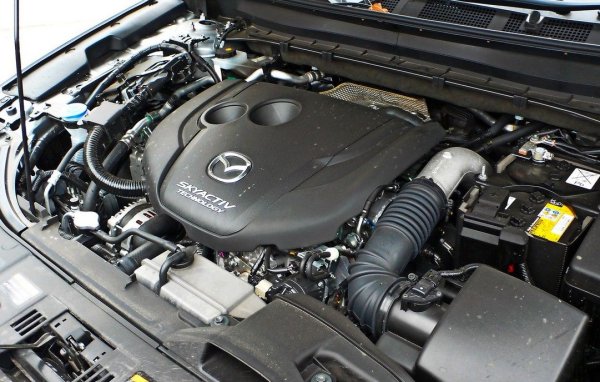 Доста повече внимание изискват дизеловите двигатели. Много често срещаният на нашия вторичен пазар 2.2-литров дизел е с доста слаби уплътнения на горивните инжектори. Случва се те да загубят херметичност още след 60-80 хиляди километра преход. А ако проблемът не бъде забелязан навреме, може да доведе до основен ремонт на двигателя. 
Другата специфика при по-големите модели на Mazda - както впрочем и при японските марки като цяло - е по-високата цена на оригиналните части, примерно запалителни свещи. 
