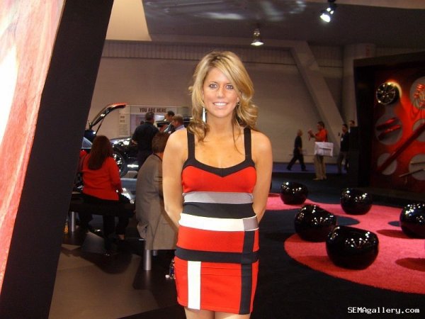 Момичетата на SEMA 2008