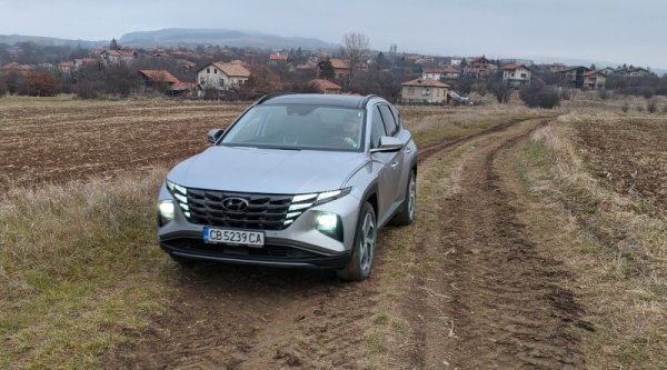 Сред продаваните в значими бройки модели, Tucson има третия най-висок ръст спрямо миналата година (+112%, по този показател отстъпва само на Renault Arkana и Opel Crossland). През първото полугодие доставките вървяха относително гладко, но напоследък и при Hyundai времето за чакане набъбна до над 5-6 месеца. 
