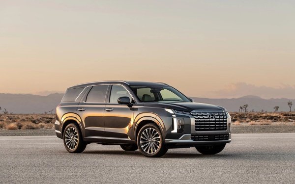 От началото на 2026 Hyundai е провела осем кампании за изтегляне, обхващащи над 1,1 милиона автомобила. Най-голямото от тях се отнася до предишното поколение SUV Palisade &ndash; повече от 568 000 екземпляра са изтеглени поради неправилна работа на страничните въздушни възглавници.

Освен това новият Palisade беше изтеглен поради проблеми с електрическите задни седалки. В един от случаите това доведе до смъртта на дете, след което компанията временно спря продажбите на модела, докато дефектът не бъде премахнат. А собствениците на 27 електрически автомобила от марката с потенциално опасни високоволтови батерии, които могат да се запалят, бяха поканени в сервизите за отстраняване на проблема.


