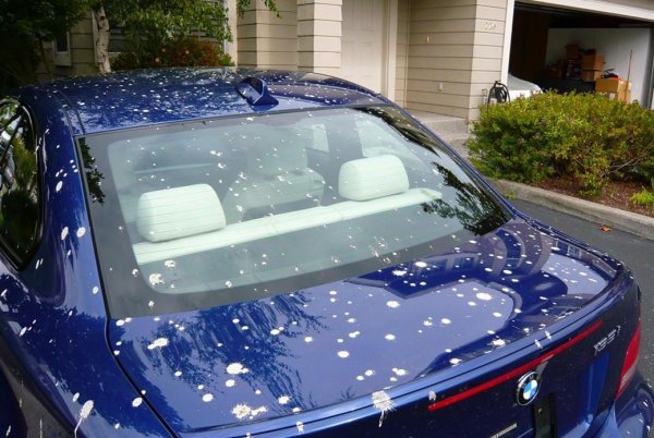 Честото миене на автомобила помага да се отстранят късчетата битум, летящи от асфалта, и останките от насекоми. В противен случай минералите в тях под влияние на високата температура ще влязат в химическа реакция с боята и ще доведат до неравномерни промени в света й. Насекомите при разлагането си също отделят киселини, които вредят на лаковото покритие. 
И тук важи правилото: само препарати за автомобили. Домакинските могат да са фатални за боята. Внимавайте да не миете твърде нагорещен автомобил със студена вода - това води не само до увреждания по боята, но и до пукнати стъкла. 
