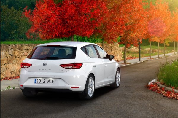 При дизелите 1.6 и 2.0 TDI има загуби на охладителна течност, както при двата модела на Volkswagen и Skoda. Типичен недостатък на Leon са микропукнатините в фаровете, поради което някои собственици трябваше да сменят цели лампи по време на инспекцията, затова преди покупката трябва да ги инспектирате внимателно и, ако е необходимо, да се пазарите за по-ниска цена. 