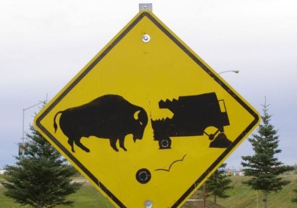 Тъпи табели