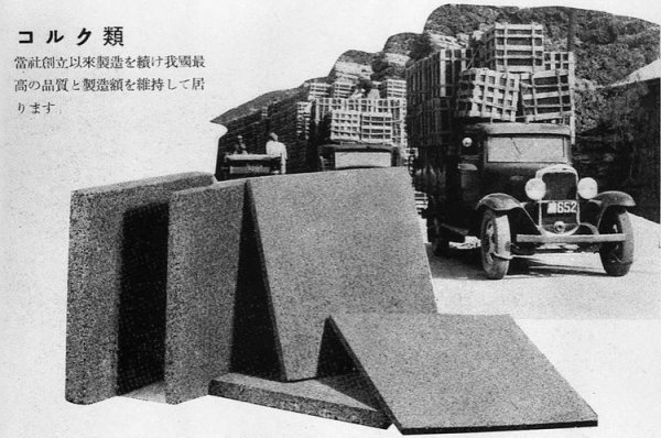 Автомобилният производител от Хирошима отбелязва своята 100-годишнина, тъй като е основан на 30 януари 1920 г. Тогава компанията се казва Toyo Cork Kogyo Co. Ltd, като година по-късно започва да се занимава с машиностроене. Нейният първи транспортен модел е трицикълът Mazda-Go, докато при автомобилите марката дебютира през 1960 г. с модела R360. Година по-късно компанията получава лиценз за производство на роторни двигатели (Ванкелови), които я правят много популярна по света.
