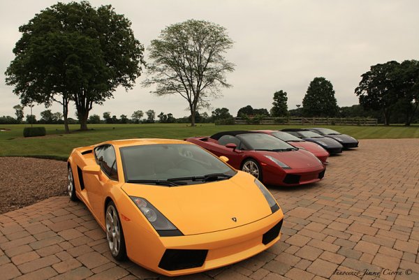 Частна колекция от 82 суперколи