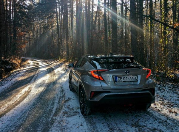 Японците също са печеливши от по-малкия от средното спад в продажбите си (-30%). Пазарният им дял вече е 5.5%, един от най-високите в европейската им история. 
