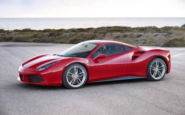 4,5-литрова бутилка френско вино Château Mouton Rothschild от реколта 1945 е продадена на търг през 1997 за 310 700 долара. Тази реколта се смята за една от най-добрите в историята на избата, а етикетът с буквата „V“ в чест на победата във Втората световна война го прави особено ценен.

За тази сума можете да закупите Ferrari 488 GTB 3.9 AMT. Задвижвано от 3,9-литров V8 двигател с двойно турбоко, 488 GTB произвежда 670 к.с. и ускорява до 100 км/ч за 3,0 секунди. Максималната скорост е 330 км/ч. Този суперавтомобил съчетава италиански стил и впечатляващо представяне.