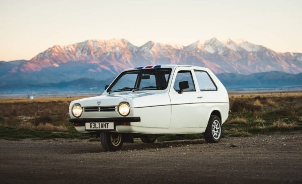 Трудно ни е да се сетим за по-тъжна кола в историята от тази, която собствените й създатели не са счели за достойна не само за нормален двигател (този под капака е 0.7-литров), но дори и за четири колела. С корпус от фибростъкло, Robin е създаден, за да се заобиколи законът и да може да се управлява без книжка. Което е абсурдно, защото едва ли ще се намери по-мъчна за управление кола. 
