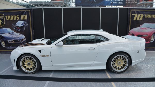 Camaro Trans Am Bandit Edition