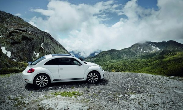Beetle