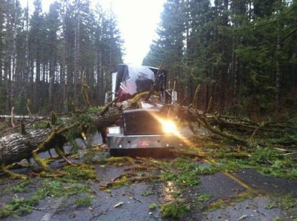 Необичайни пътни инциденти 