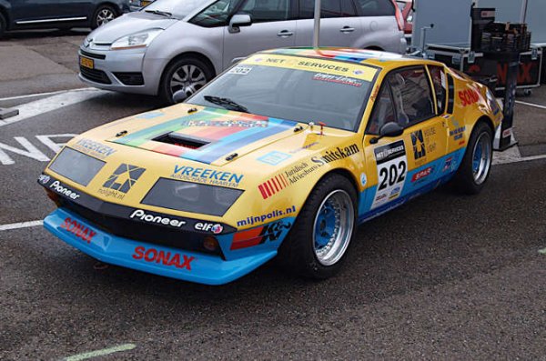 Alpine A310 няма успеха на A110 в международния моторен спорт, въпреки че понякога успяват да завърши в топ 10 в кръгове от Световния рали шампионат. На национално ниво обаче е друга история.

През 1977  (годината, в която производството на A110 приключи), местни пилони разбиват френския шампионат с невероятните 9 победи. Конкуренцията е огромна, състояща се от Lancia Stratos и няколко Porsche 911.