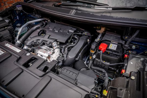 Когато се появиха, двигателите Prince бяха впечатляващо иновативни. Но тяхната сложност изискваше нива на поддръжка, с която повечето клиенти не бяха свикнали, а и самите производители препоръчваха абсурдно дълъг интервал за смяна на маслото - 20,000 км. Това води до затлачване на маслените канали, маслен глад и ускорено износване на полите на буталата и стените на цилиндрите. Регулируемият електромагнитен клапан на маслената помпа също започва да прави проблеми. Малък е и ресурсът на веригата - в някои случаи под 50,000 км. Собствениците докладват също множество течове на масло, както и отказ на охладителната система (заради странното решение помпата за охладителната течност да се задвижва от обратната страна на пистовия ремък). Накрая стигаме до най-зловещия дефект при Prince: даже при умерено прегряване седлата на клапаните се подават от главата на блока. При това до такава степен, че понякога клапанът се среща с буталото и моторът заминава за основен ремонт. 
