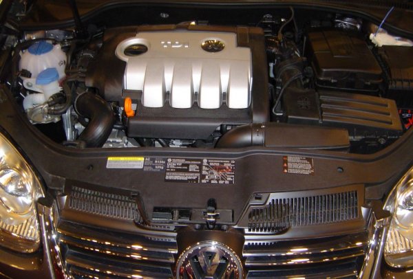 Двулитровият турбодизел на концерна VW от семейството ЕА118 има множество разновидности - с 8 или 16 клапана, с или без балансиращи валове, с помпа-дюза или с common rail. 
По-изявен създател на проблеми е вариантът помпа-дюза (PD). Той се появява през 2003, построен на базата на добрия стар 1.9 TDI, но с увеличен диаметър на цилиндрите. Цилиндровата глава обаче е съвършено различна - с два разпределителни вала и с 16 клапана. 
Най-сериозният и чест проблем при този двигател идва от маслената помпа. Тя функционира чрез въртенето на къс балансиращ вал. След едва стотина хиляди километра обаче връзката започва да се износва и валът превърта, а помпата престава да подава масло, което не води до нищо добро. 
