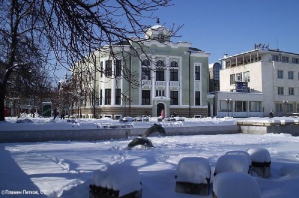 Тук главният принос към черната статистика е на пътя София - Варна. Най-опасният месец е бил януари, в който са загинали три от общо осемте жертви. Тежките катастрофи са 44. 
Катастрофи на 100,000 жители: 40
