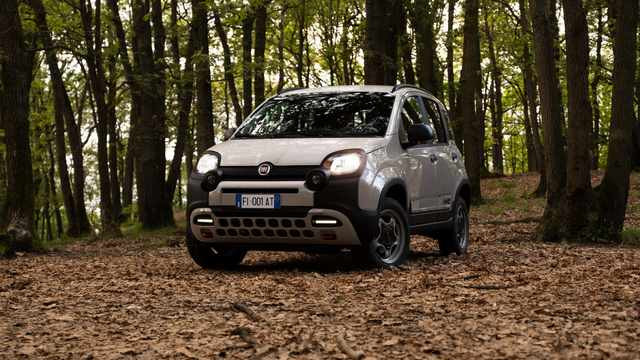 fiat-panda-4x40deg (2)